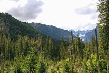 Piękny widok z gór w Polsce, Zakopane