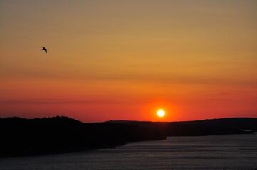 Red Sunset seagull silhouettes. Seagull in sunset sky. Flying seagulls over the sea at sunset. Seagulls at sea . Birds flying back home at sunset seaside of Mali Losinj, Croatia