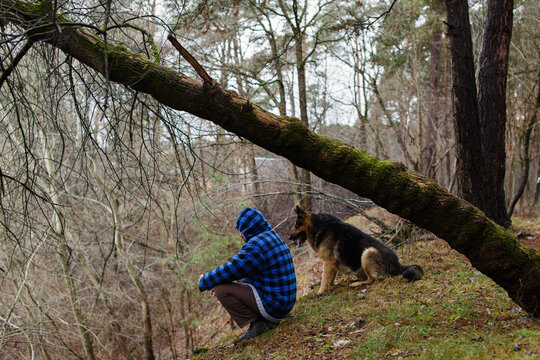 old dog breed German Shepherd with the owner walking in spring forest. onely old fat man and his friend dog sitting resting  in the wood with moss nad looking in distance back view outdoors portrait