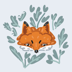 Vector illustration of Cute fox
