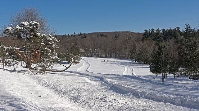 Hiking And Cross Country Skiing Trail In Mont Saint Bruno National Park, Quebec