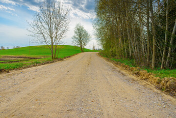 Empty Sandy country road near the forest,fluffy clouds,summer evening sunset landscape.