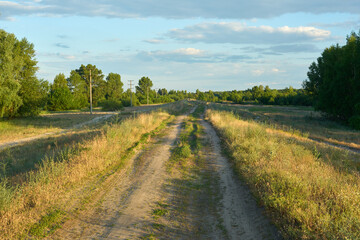Fototapeta na wymiar Countryside road among fields and trees. Ukrainian landscape.