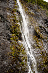Water
Cascade
South of Chile
Puerto Natales
Patagonia
Torres del paine
Naturleza
Nature
Glazier
Glass
Glasiar