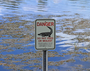 Alligators Warning Sign Florida lake