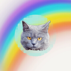 The head of a serious cat on the rainbow. Modern art collage, surrealism. memphis style posters....