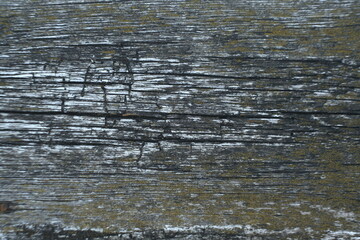 old wooden board with cracked background texture