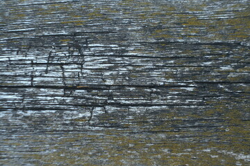 old wooden board with cracked background texture