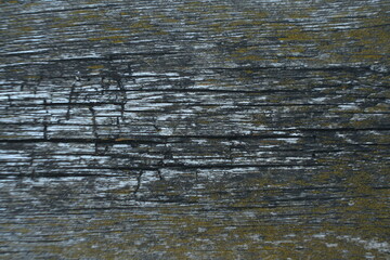 old wooden board with cracked background texture