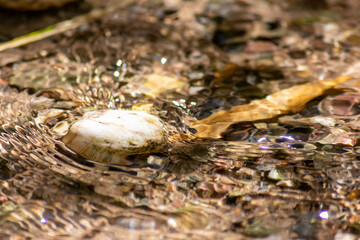 Stones in sparkling water with sunny reflections in water of a crystal clear water creek as idyllic natural background shows zen meditation, little waves and silky ripples in a healthy mountain spring