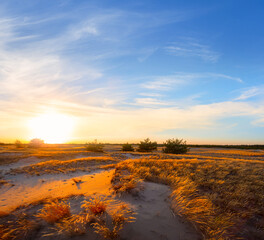 Fototapeta na wymiar wide sandy prairie at the sunset, natural outdoor background