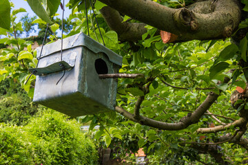caja nido para pájaros en el árbol