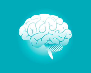 Human brain vector illustration with soft shadows. Concept of smartness