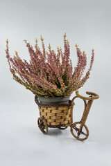 flowers in a bicycle basket