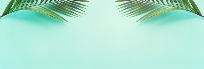 Image of tropical green palm over blue pastel background