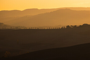 Landscape in Italy in the Tuscany region captured at sunrise. Photographed at the end of October,...