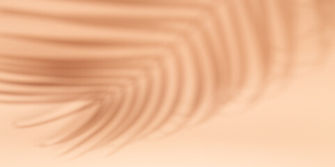 Horizontal banner with natural palm shadows on beige wall. Floral silhouette on beige background