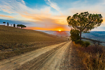 Fototapeta premium A tree with a path in a field at sunrise in Italy in the Tuscany region, which is known for its typical ripples, vineyards. Photographed in autumn when the landscape is already in bloom and the fields