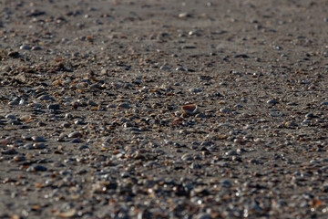 pebbles on the beach in brazil