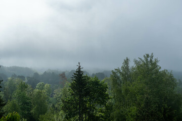 sunny morning with fog over the trees. Latvian landscape