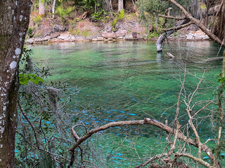 The spring at Blue Springs State Park  in Orange City, Florida.