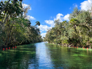 The spring at Blue Springs State Park  in Orange City, Florida.