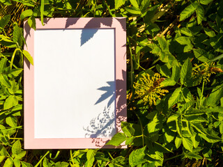 empty pink frame on real nature background, creative idea with empty frame for your ideas