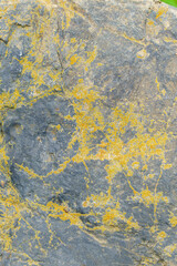 変わった形と模様の岩肌