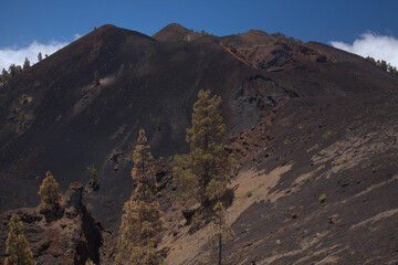 La Palma, long-range popular hiking route Ruta de Los Volcanes, landscapes around 
black crater of El Duraznero volcano, formed in 1949