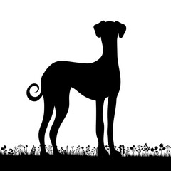 dog on grass silhouette on white background