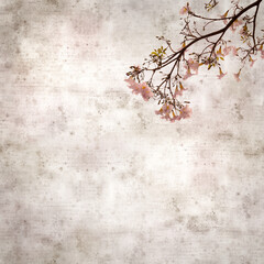 square stylish old textured paper background with Tabebuia heterophylla, pink trumpet tree, flowering branches
