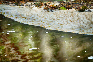 The quintessence of the polar winter. A curtain of dry grass among the snow shivers in a bitterly...