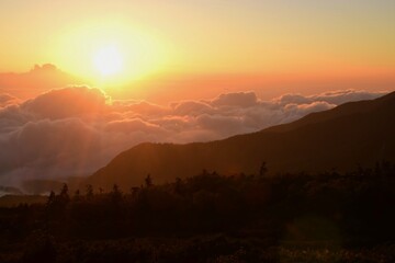 Naklejka premium 雲海に沈む夕日