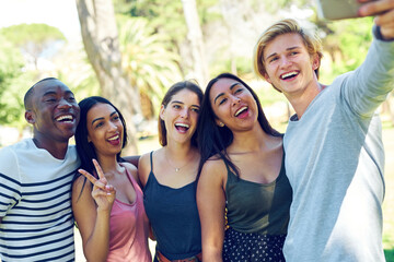 Smile everyone. Shot of a group of young friends taking a selfie together outdoors.