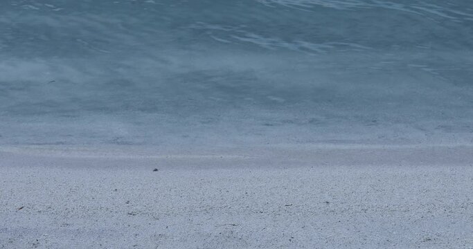 angel wings on the beach 