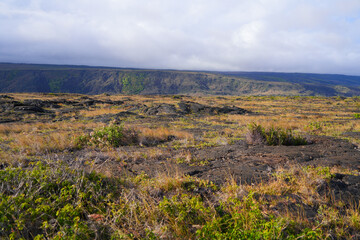 Lava field on the slopes of the Kilauea volcano along the Chain of Craters Road in the Hawaiian Volcanoes National Park on the Big Island of Hawai'i in the Pacific Ocean