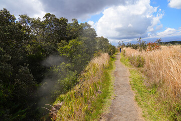Fototapeta na wymiar Steam vents along the Crater Rim Trail around the Kilauea volcano in the Hawaiian Volcanoes National Park on the Big Island of Hawai'i in the Pacific Ocean