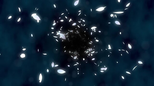 Loop back center cherry petals dark background