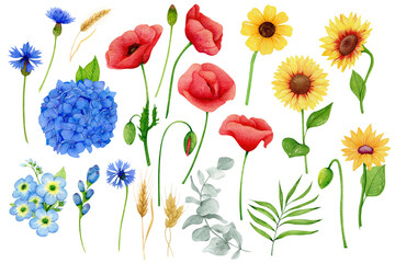 Watercolor Blue , Yellow, Red flowers clipart, Ukraine floral clipart. Sunflowers and Poppies set