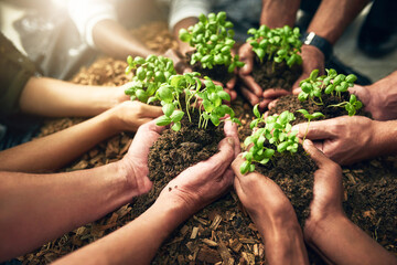 Growing together. High angle shot of a group of unrecognizable people holding plants growing in...