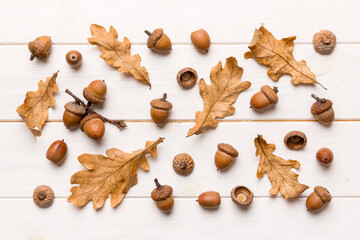 Branch with green oak tree leaves and acorns on colored background, close up top view