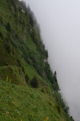 swiss alps in the fog