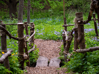 Forest Bridge over a Creek