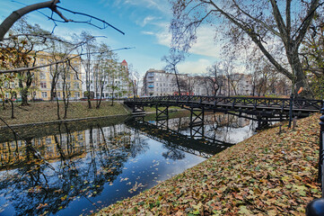 Trees and river in Wroclaw