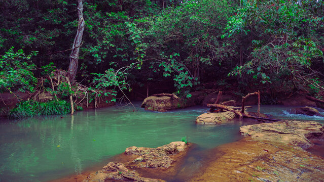 Tambi&eacute;n es verde 