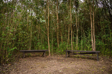 bench in the park