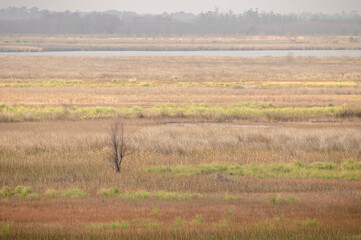campo de oto&ntilde;o