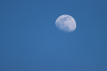 Gibbous moon in the morning sky