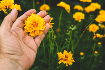 hand with yellow flowers