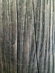 old wood texture